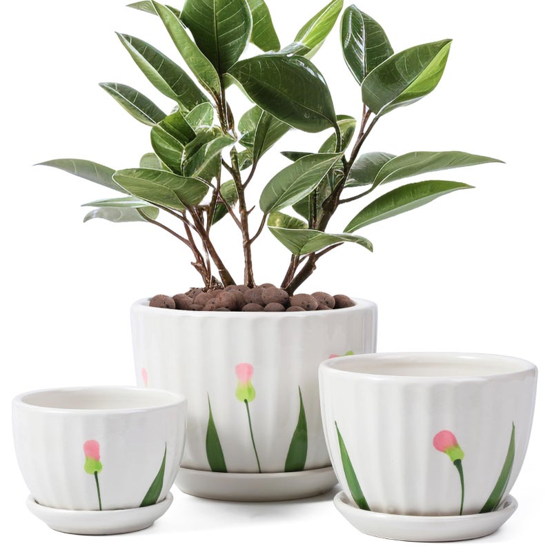 STHIE Ceramic Plant Pots with Drainage Holes and Saucers  Round White Flower Pots for Indoor Plant  Diameter 3.3/4.3/5.5 Inches Small Flower Planters Set of 3 - Image 1